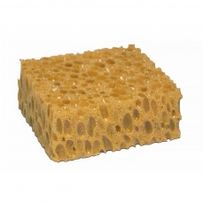 Kempinėlė putoms